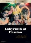 Labyrinth Of Passion (1982)4.jpg